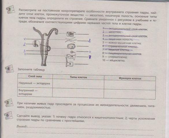 Кракен сайт наркотиков